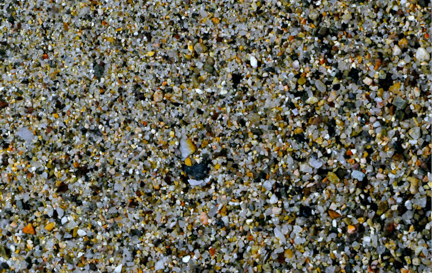 Bay of Banderas sand microscope slider 1