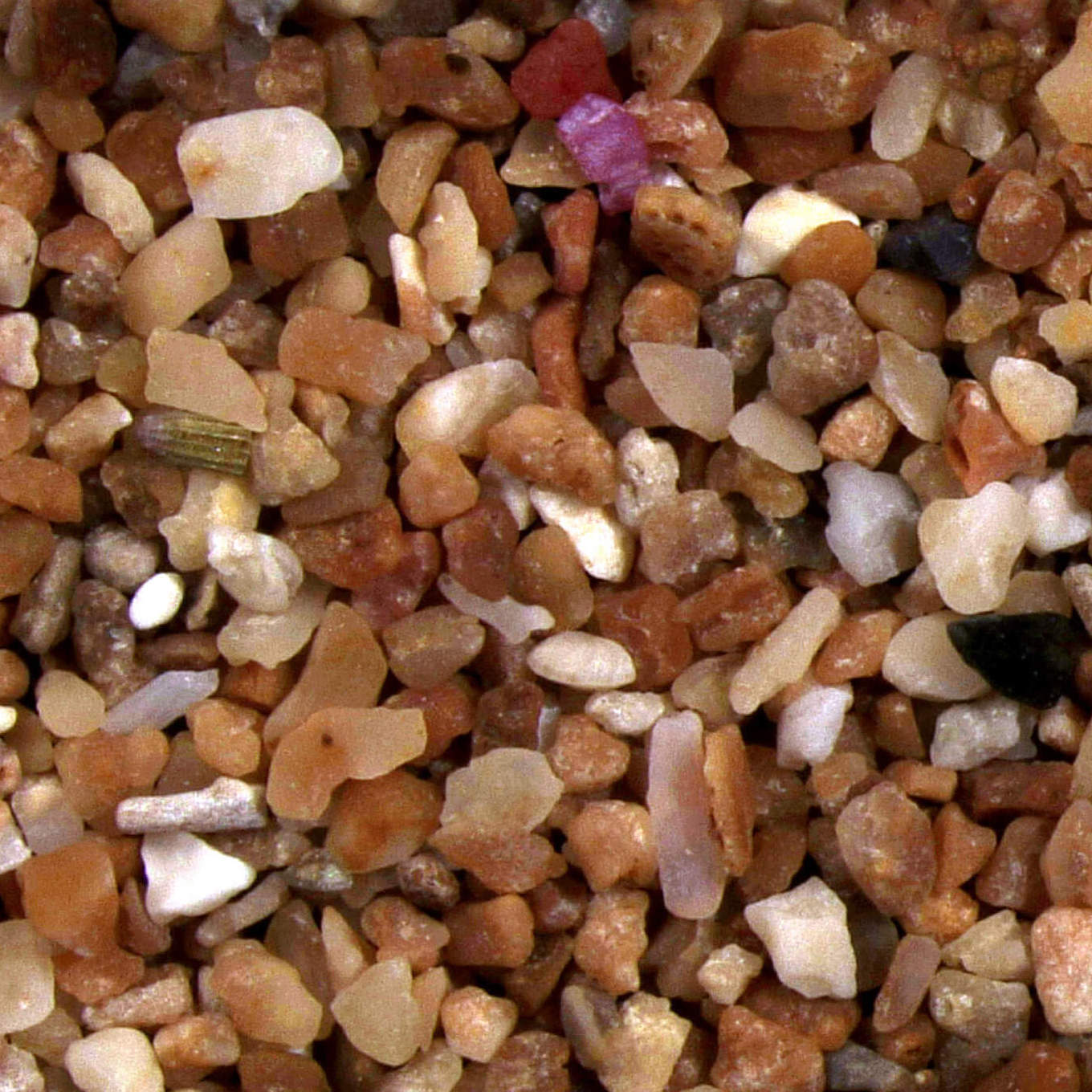 Gozo Ramla Malta Sand Grains Magnified Under Microscope Featured