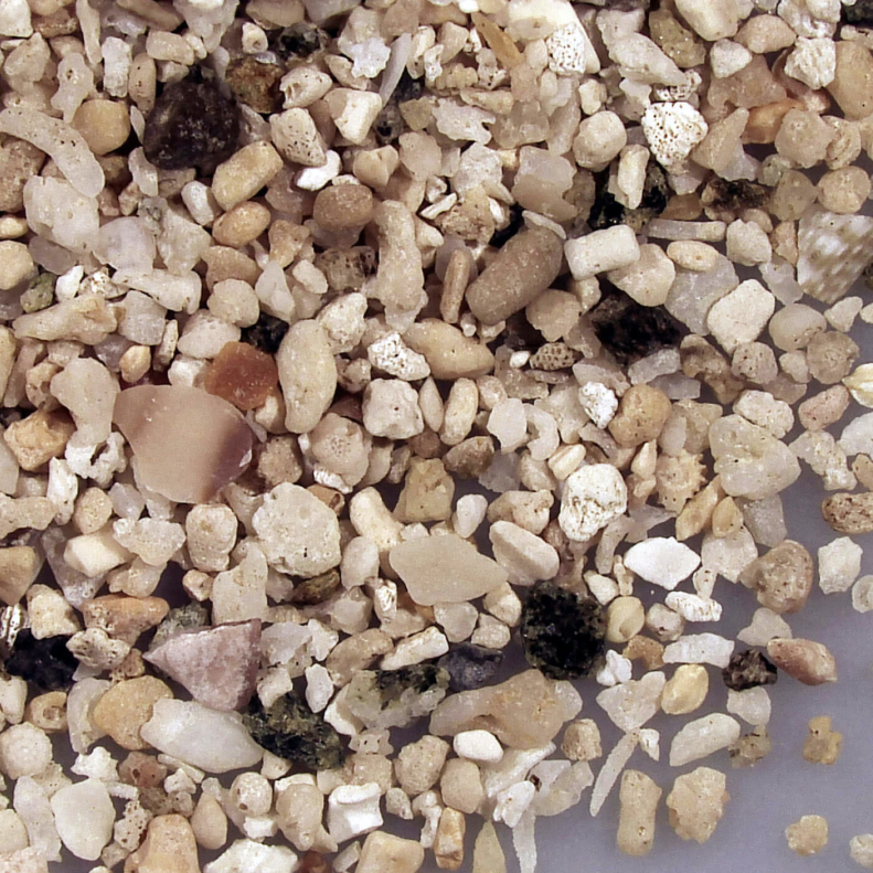 Hirakubozaki Ishigaki Japan Sand Grains Magnified Under Microscope 5 Square