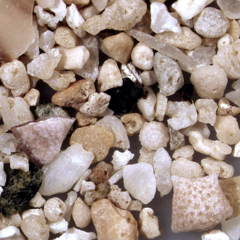 Hirakubozaki Ishigaki Japan Sand Grains Magnified Under Microscope Square