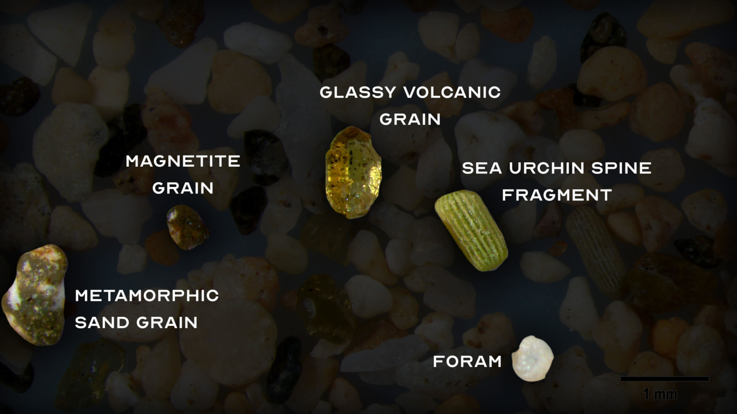 Identify-Wailea-Beach-Maui-Hawaii-sand-grains