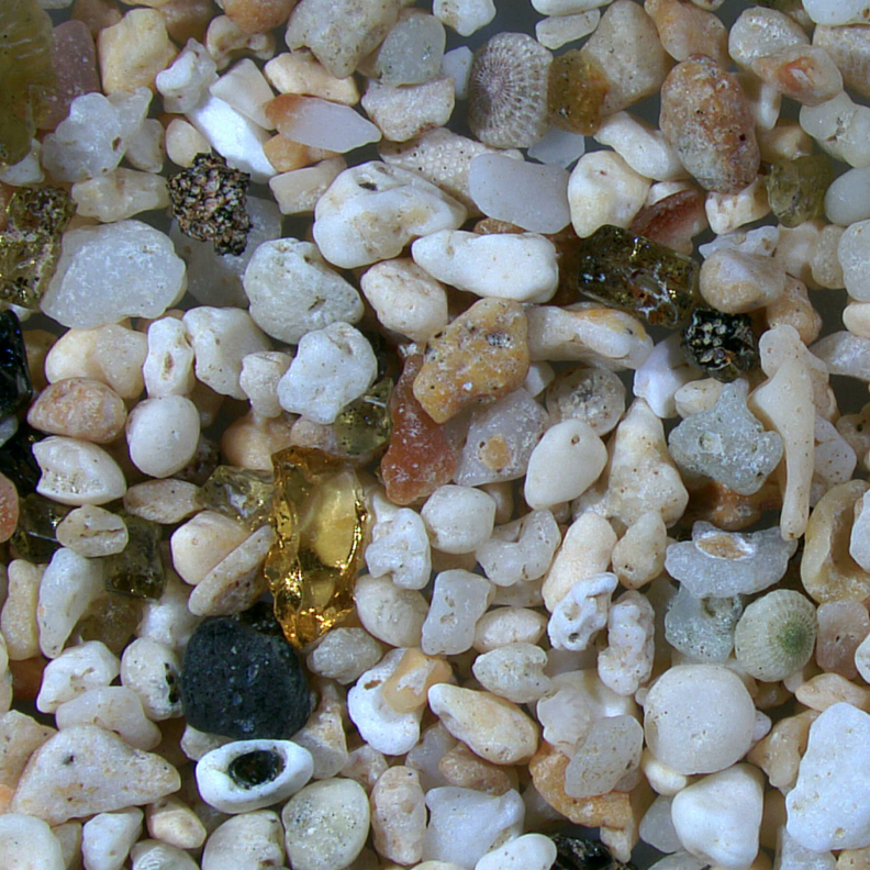 Wailea Beach Maui Hawaii Sand Grains Magnified Under Microscope 3 Square
