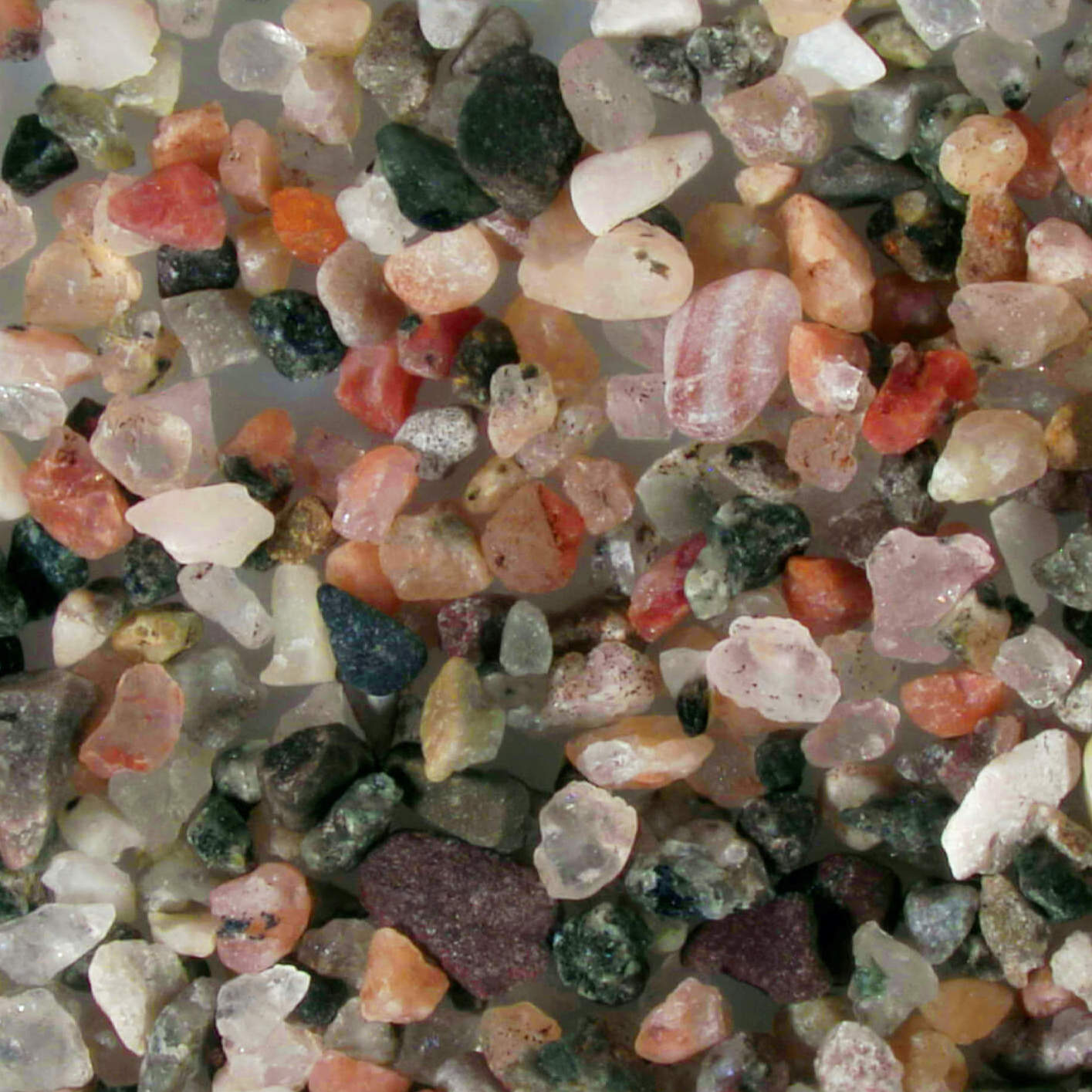 Sally's Cove Newfoundland Sand Grains Magnified Under Microscope Square