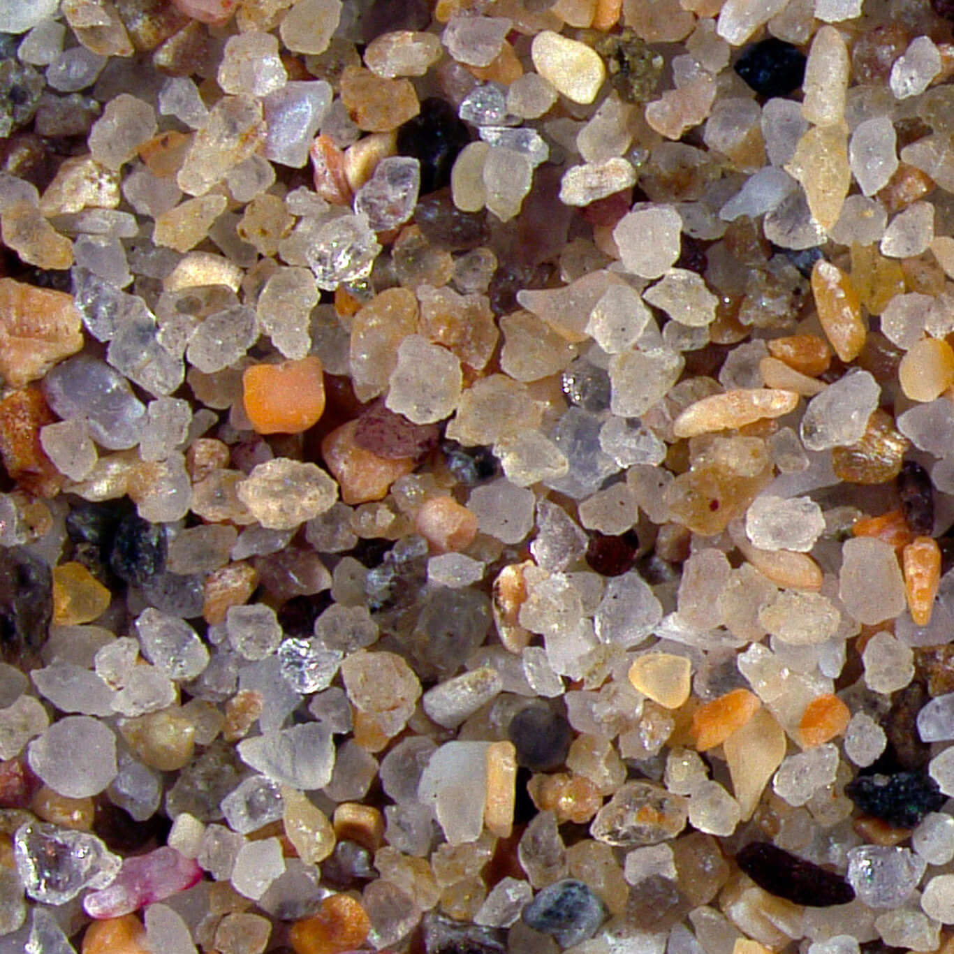 Tazones Asturias Spain Sand Grains Magnified Under Microscope 4 Square