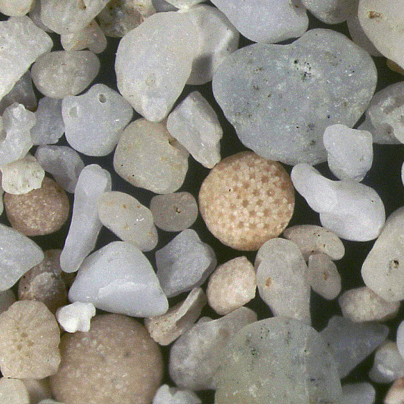 Dream Beach Bali Indonesia Sand Under Microscope Slider Magnified Copy