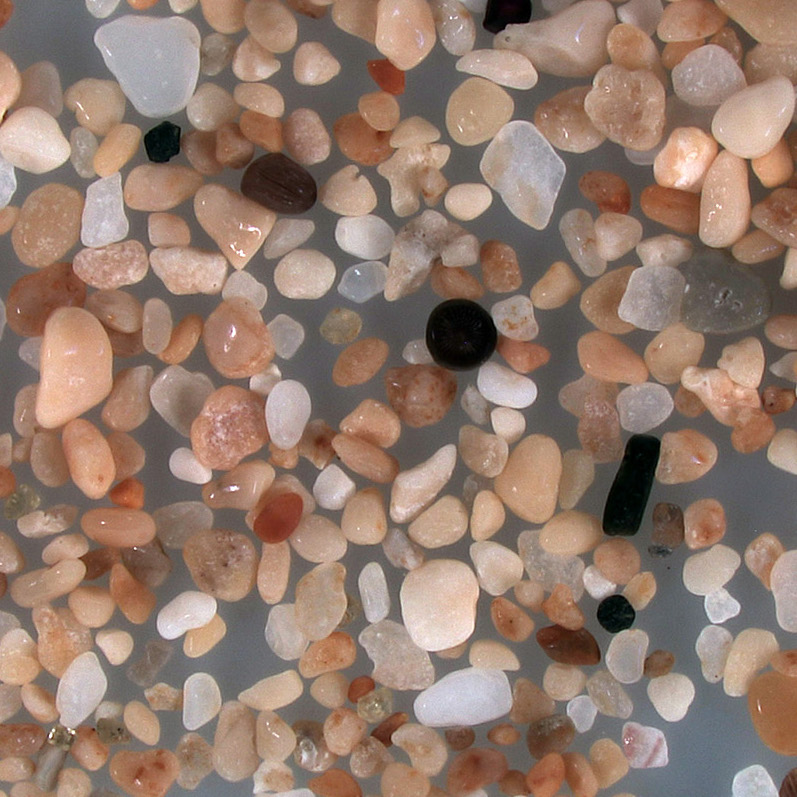 Playa De Las Conchas La Graciosa Canary Islands Spain Sand Grains Magnified Under Microscope 1 Square