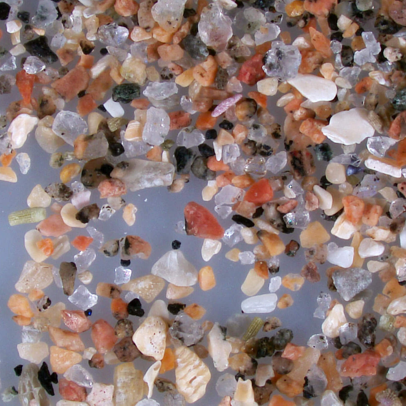 Sand Beach Maine Us Sand Grains Magnified Under Microscope 5 Copy