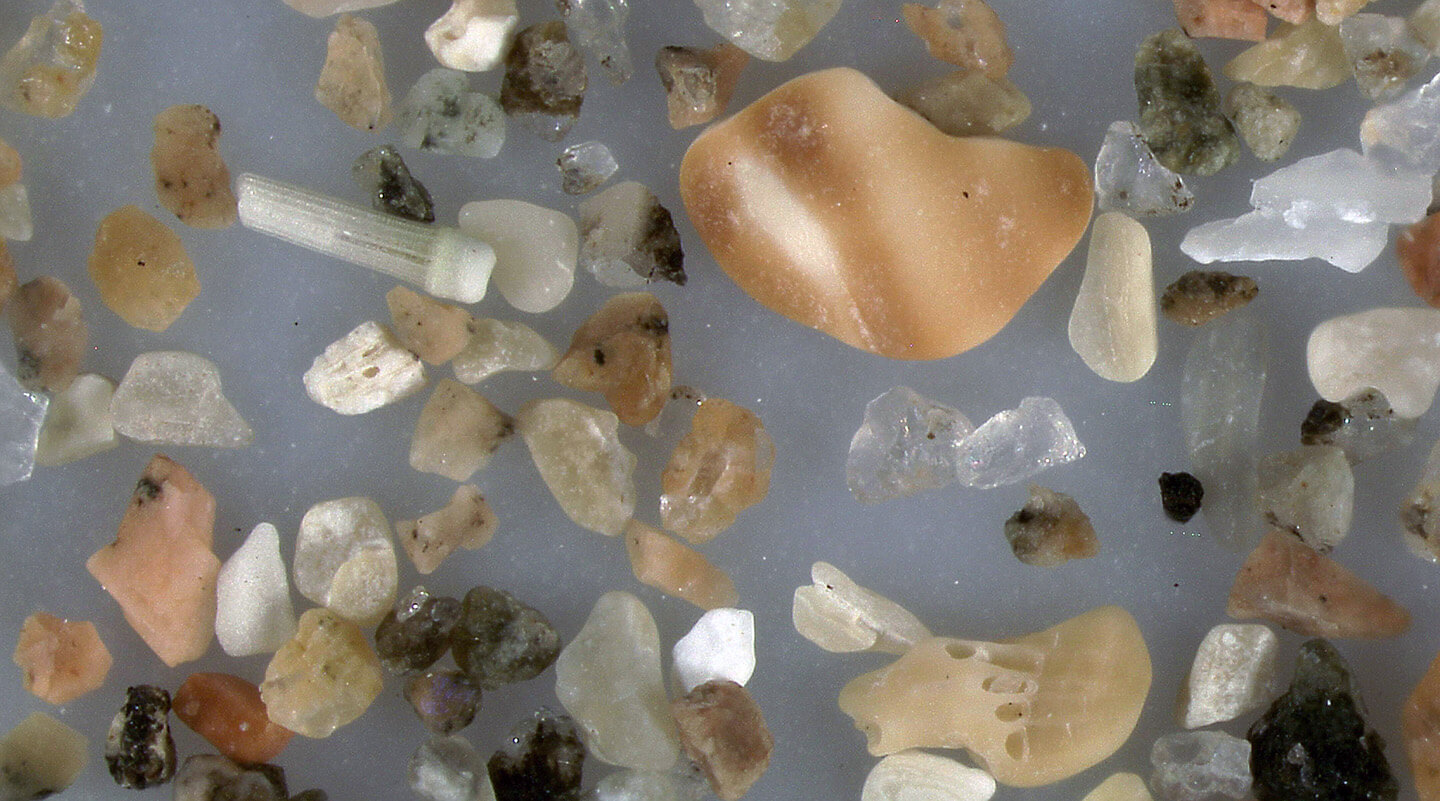 Sand Beach Maine Us Sand Grains Magnified Under Microscope Slider Magnified