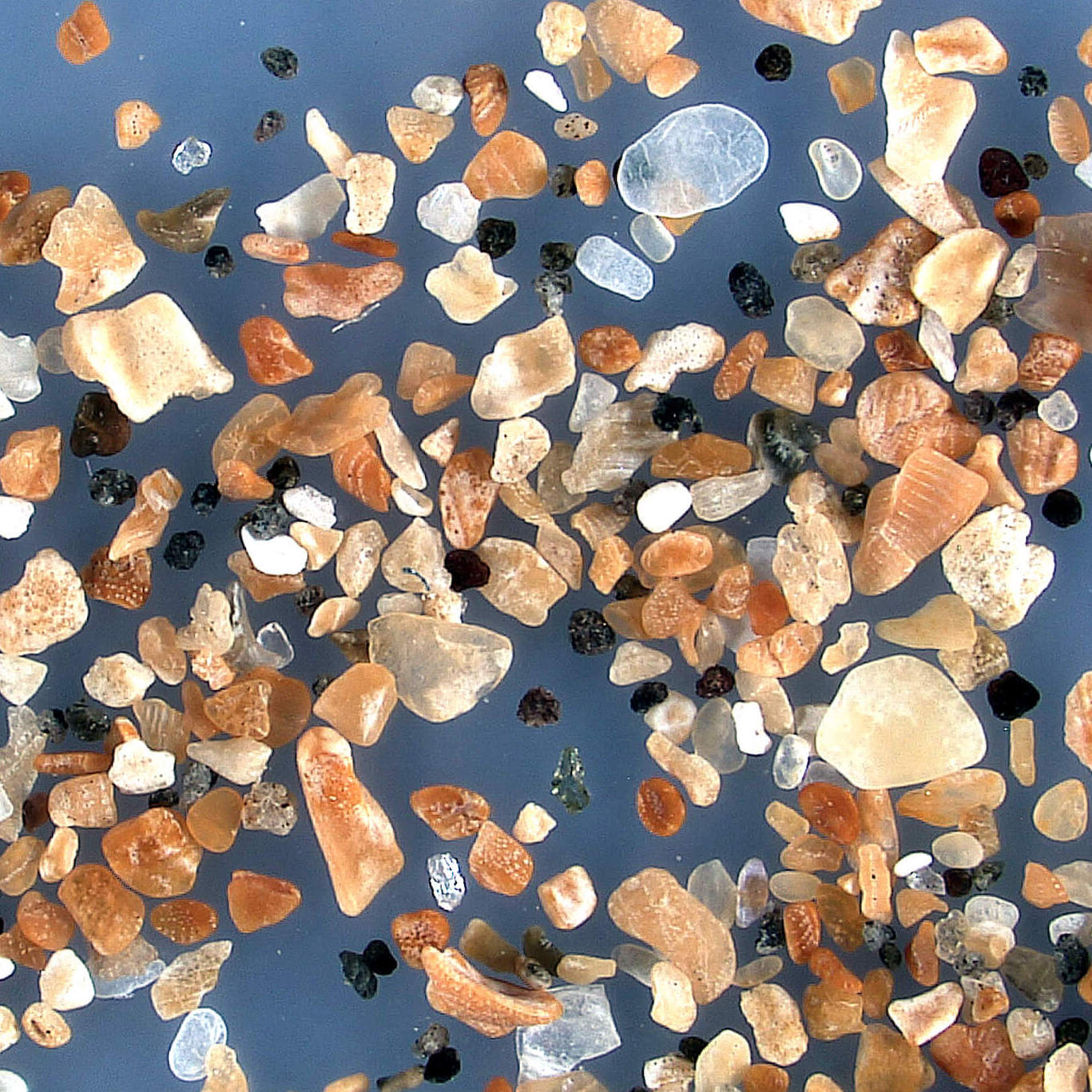Sq Rauðasandsvegur Westfjords Iceland Sand Grains Magnified Under Microscope 3 Copy