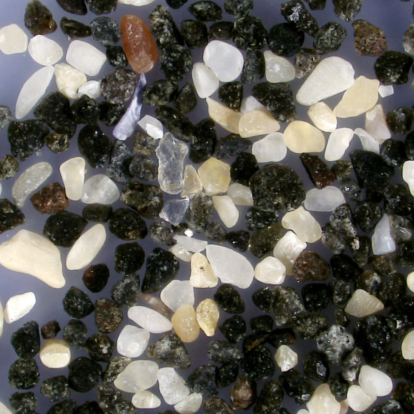Sq Sæból Westfjords Iceland Sand Grains Magnified Under Microscope 1