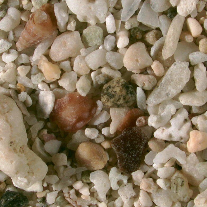 S Hansen Bay Beach St. John U.s. Virgin Islands Sand Grains Magnified Under Microscope 2 1440x793