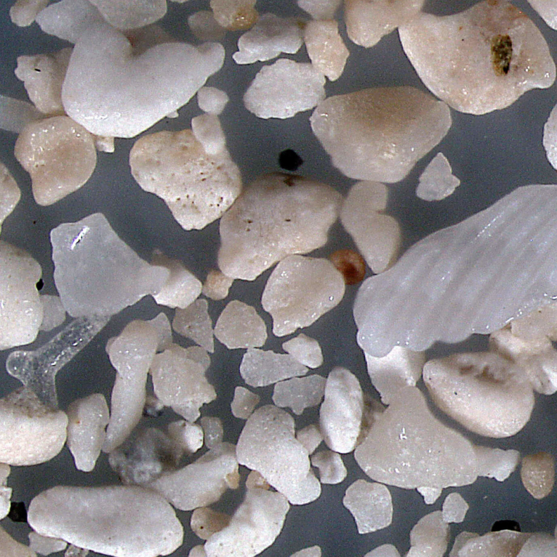 S Hawknest Beach St. John U.s. Virgin Islands Sand Grains Magnified Under Microscope 2 1440x800