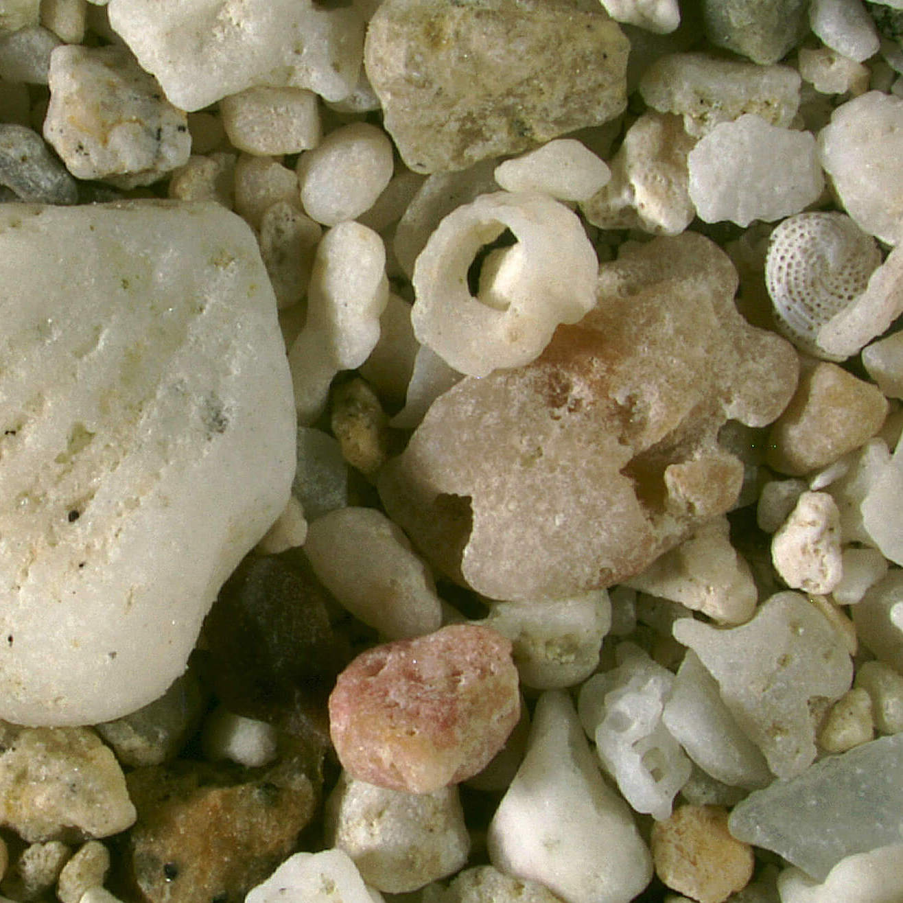 Sq Hansen Bay Beach St. John U.s. Virgin Islands Sand Grains Magnified Under Microscope 3