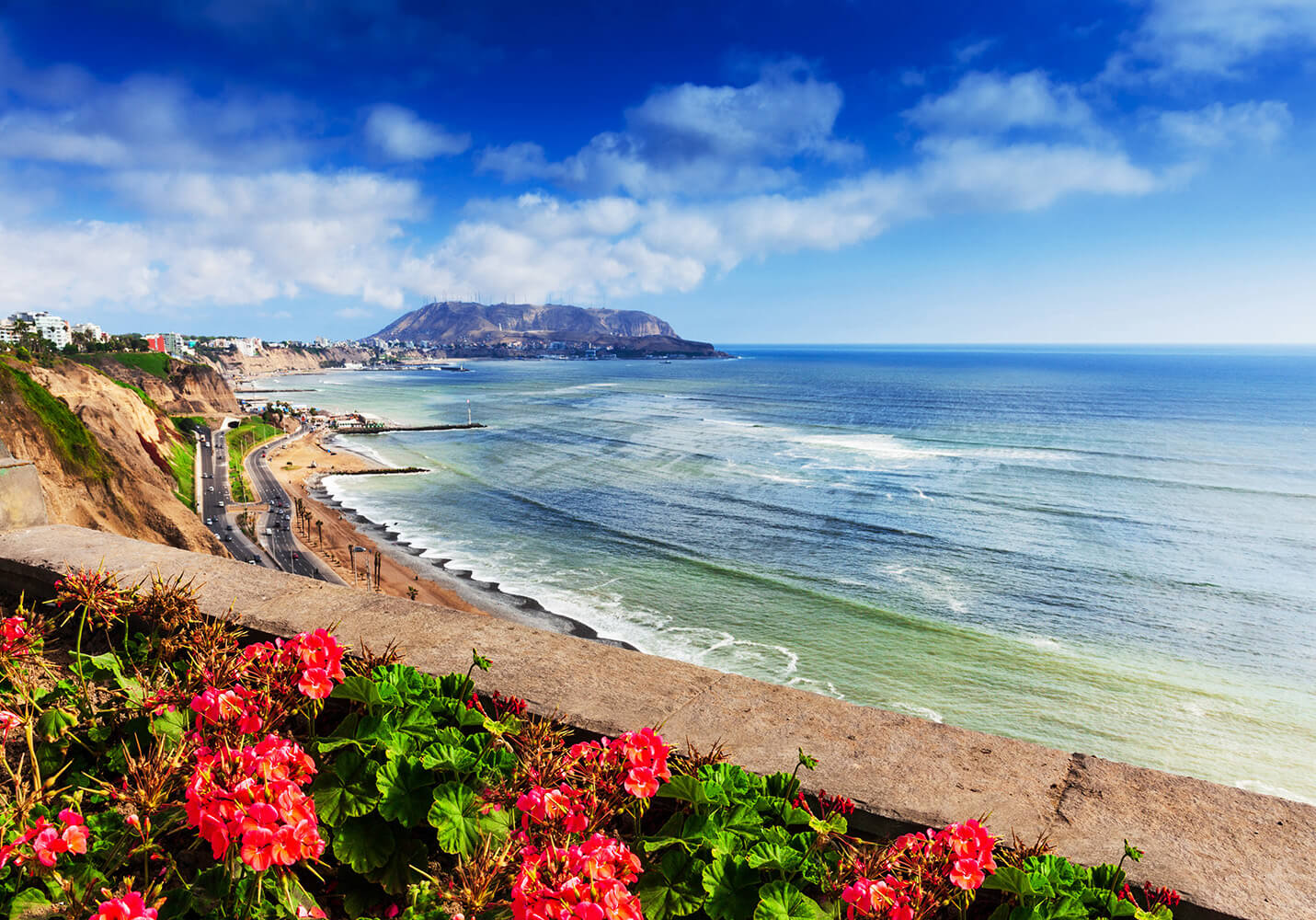 Flowers By The Ocean. Lima.