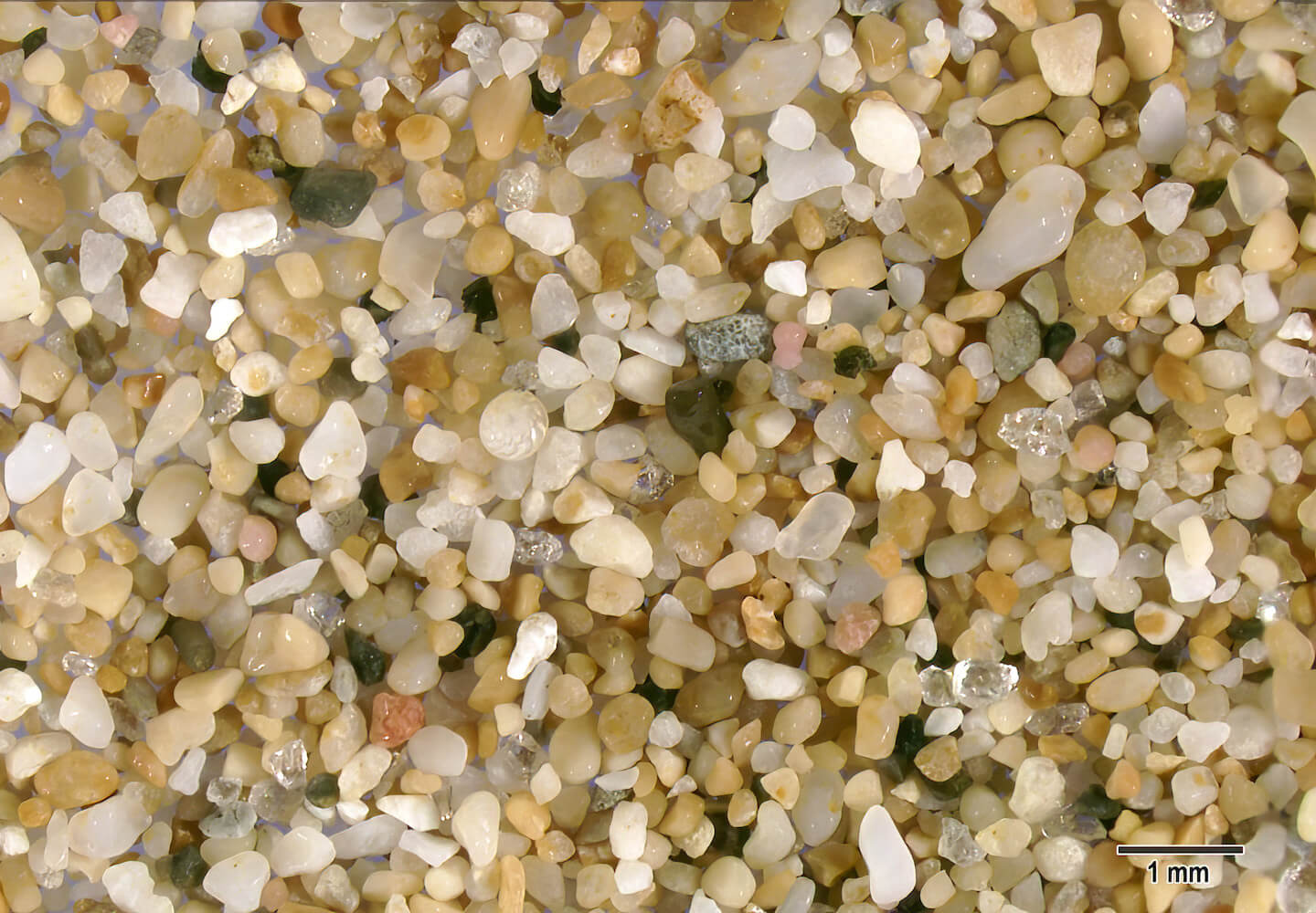 Qurum Beach Muscat Oman Sand Grains Magnified Under Microscope Slider