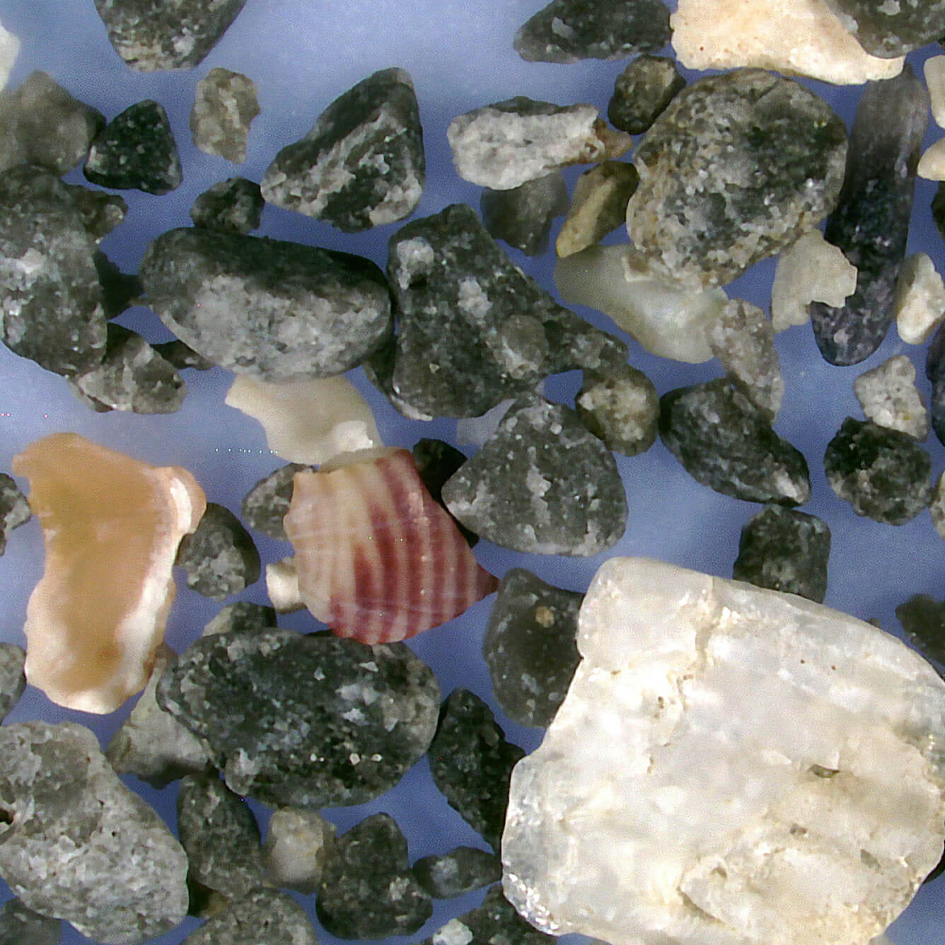 Sq2 7847 Lamphouse Ramp Inishmore Aran Islands Ireland Sand Grains Magnified Under Microscope 1 Copy
