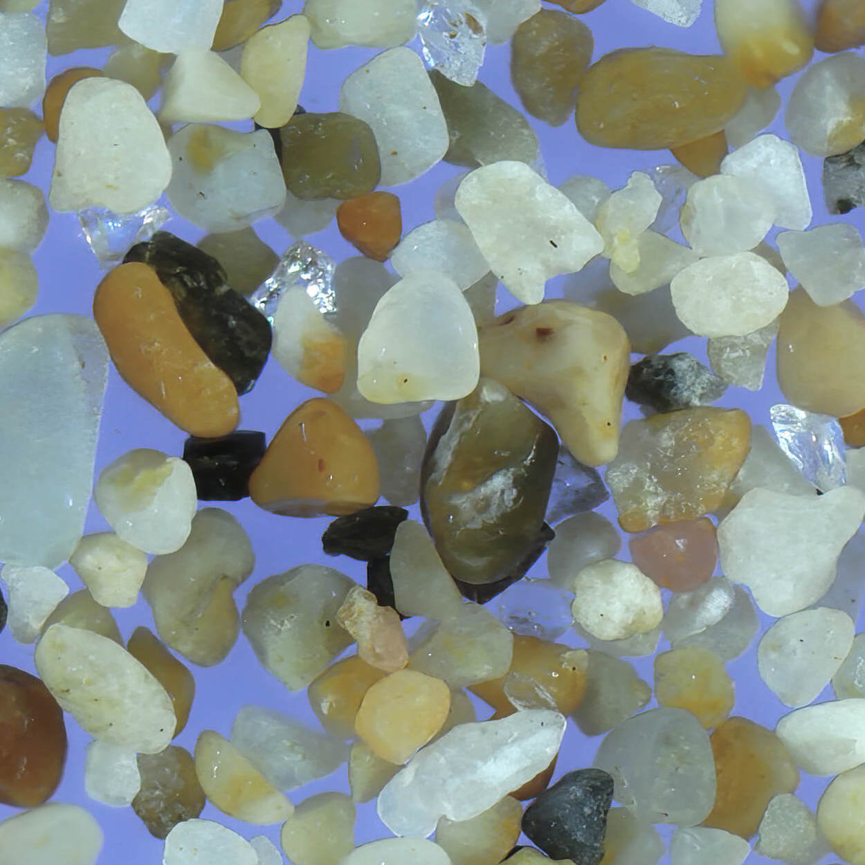 Sq2 Qurum Beach Muscat Oman Sand Grains Magnified Under Microscope 3