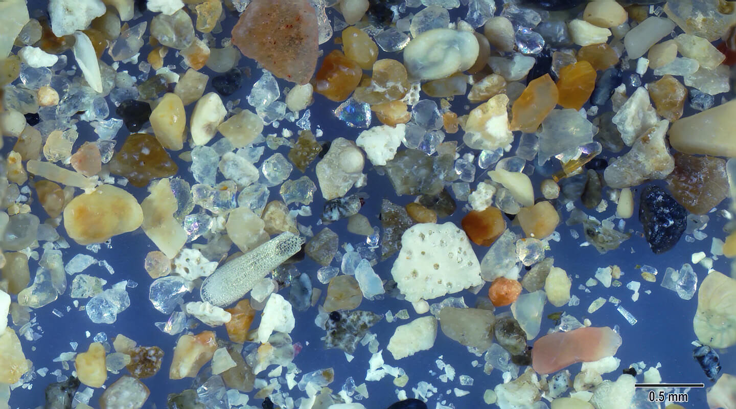 Achziv Israel Sand Under Microscope Slider
