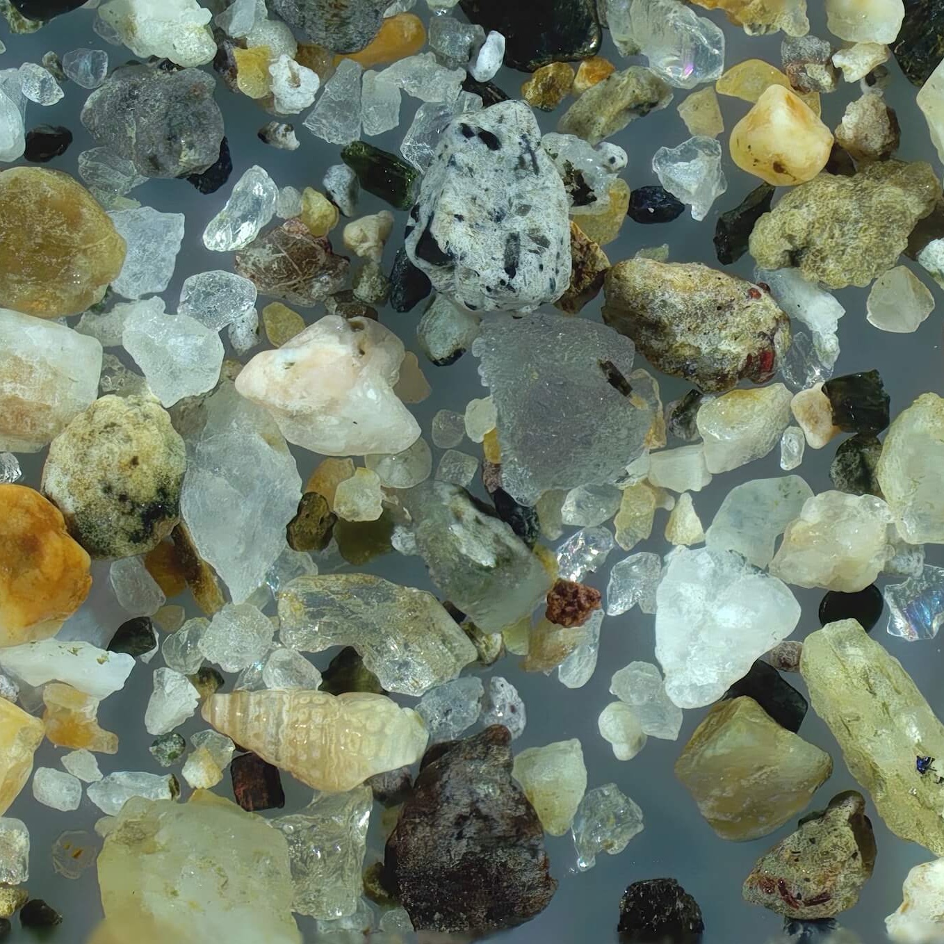 Sq2 Fukuura Beach Oki Island Okinoshima Japan Sand Grains Magnified Under Microscope 1