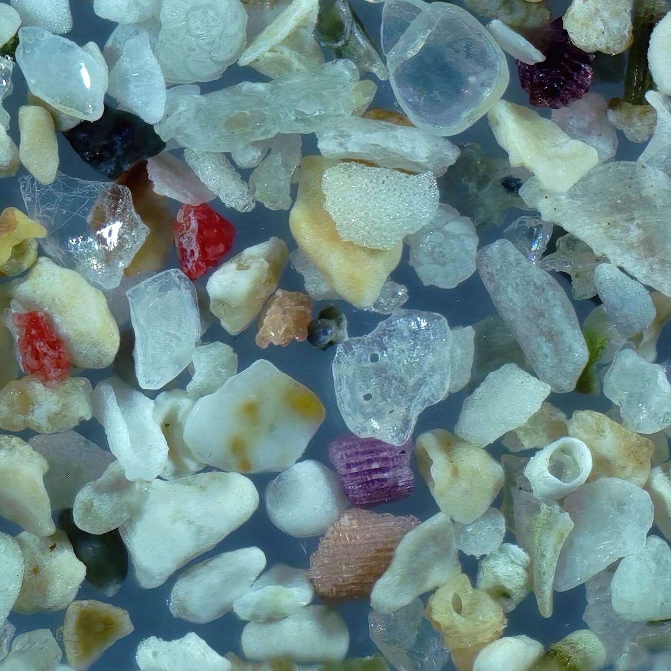 Sq1 Doigahama Beach Shimonoseki Japan Sand Grains Magnified Under Microscope 6
