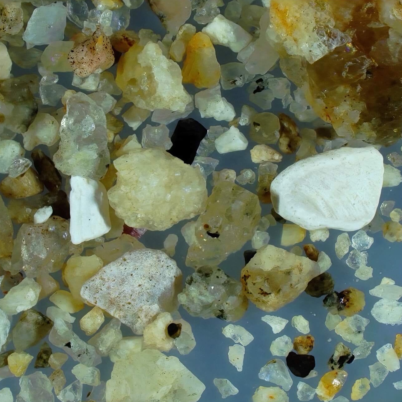 Sq1 Miyajima Hiroshima Japan Sand Grains Magnified Under Microscope 4