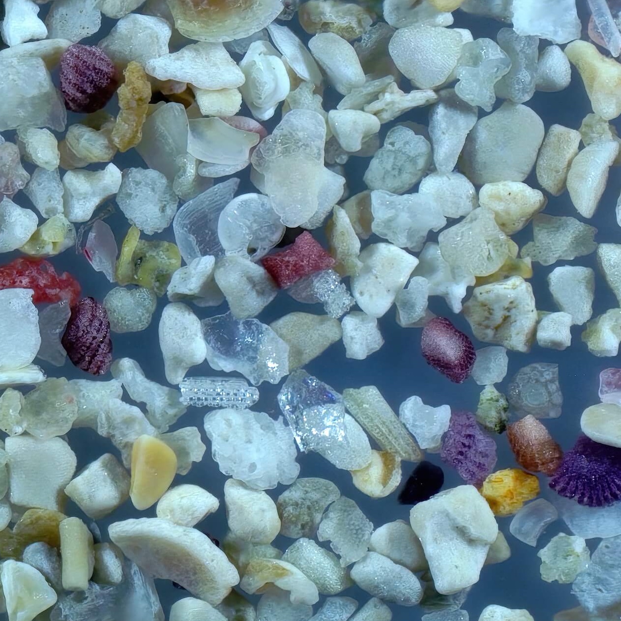 Sq2 Doigahama Beach Shimonoseki Japan Sand Grains Magnified Under Microscope 3