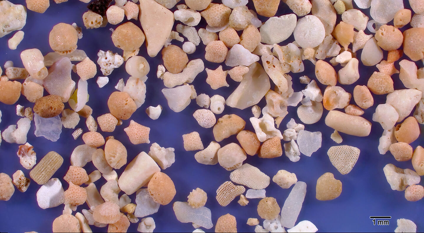 Akaishi Beach Ishigahi Island Okinawa Prefecture Japan Sand Grains Magnified Under Microscope Slider
