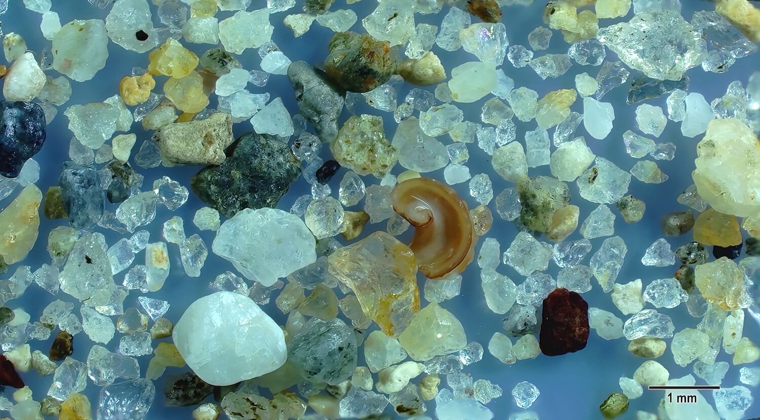 Kuşadası Aydin Turkey Sand Grains Magnified Under Microscope Slider Magnified