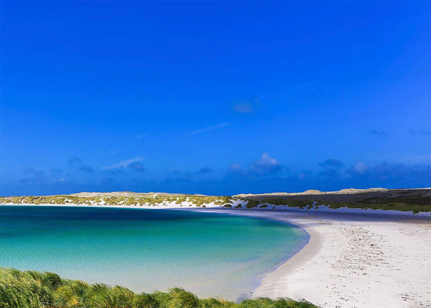 Gypsy Cove Port Stanley Falkland Islands United Kingdom Sand Geography 1