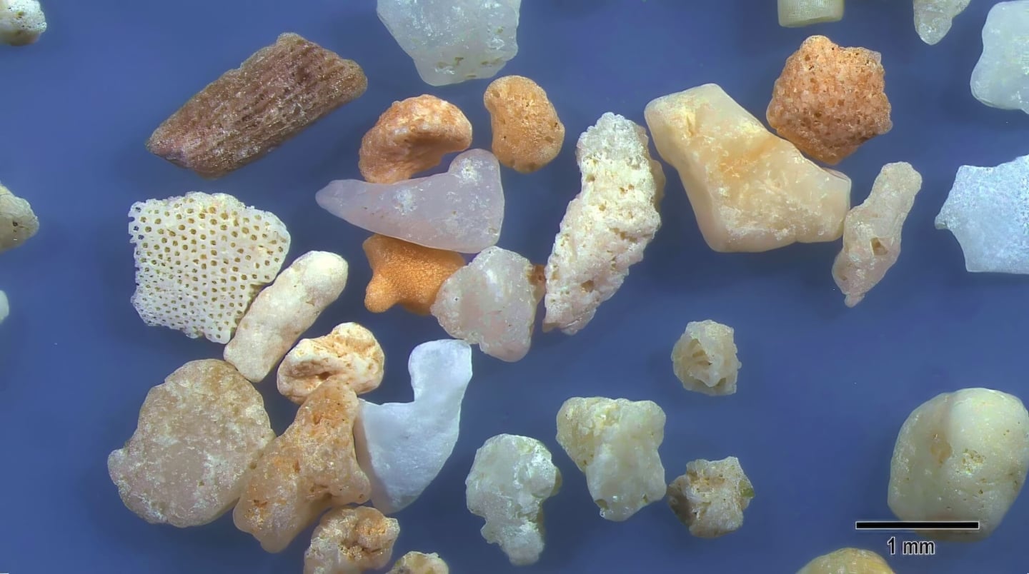1 Nata Beach Ishigaki Island Japan Sand Grains Magnified Under Microscope 1 Nata Beach Ishigaki Island Japan Sand Grains Magnified Under Microscope