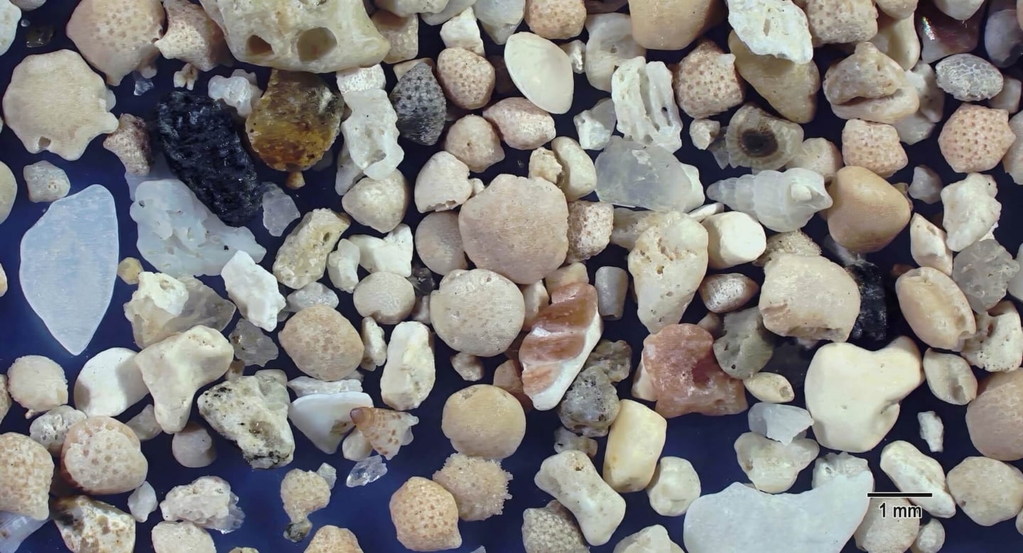 1 Yonehara Beach, Ishigaki Island, Japan Sand Grains Magnified Under Microscope 1 Yonehara Beach, Ishigaki Island, Japan Sand Grains Magnified Under Microscope