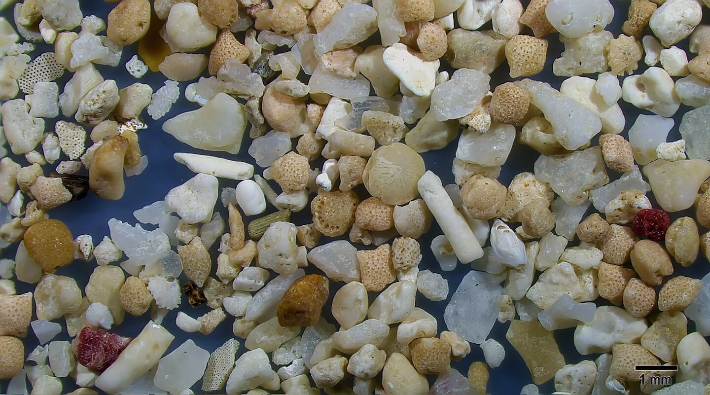 2 Nata Beach Ishigaki Island Japan Sand Grains Microscope View Slider