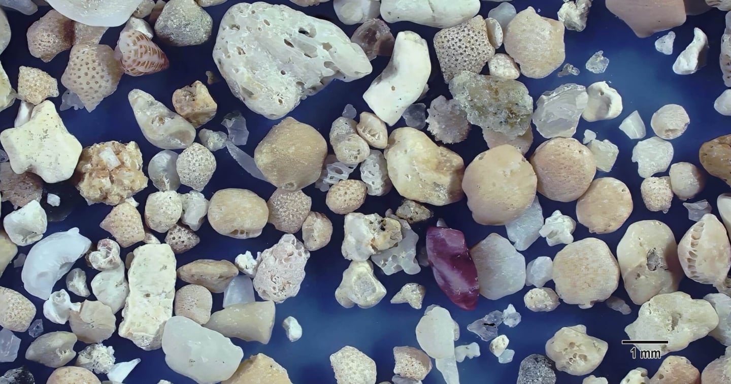 2 Yonehara Beach, Ishigaki Island, Japan Sand Grains Magnified Under Microscope 2 Yonehara Beach, Ishigaki Island, Japan Sand Grains Magnified Under Microscope