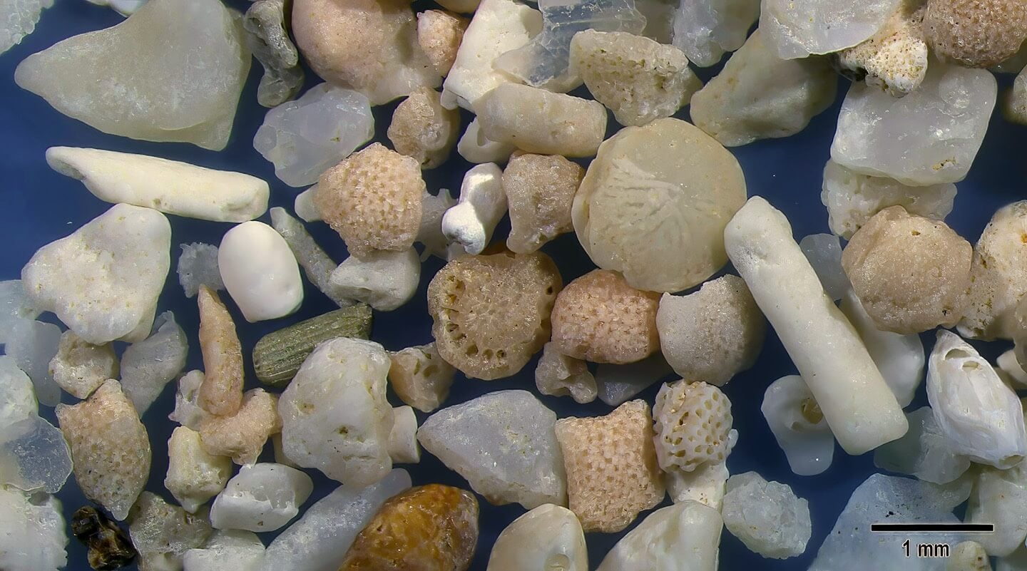 3 Nata Beach Ishigaki Island Japan Sand Grains Microscopic View Slider Magnified