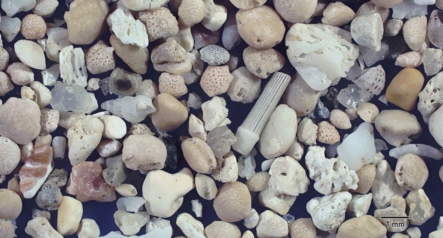 3 Yonehara Beach, Ishigaki Island, Japan Sand Grains Magnified Under Microscope 3 Yonehara Beach, Ishigaki Island, Japan Sand Grains Magnified Under Microscope