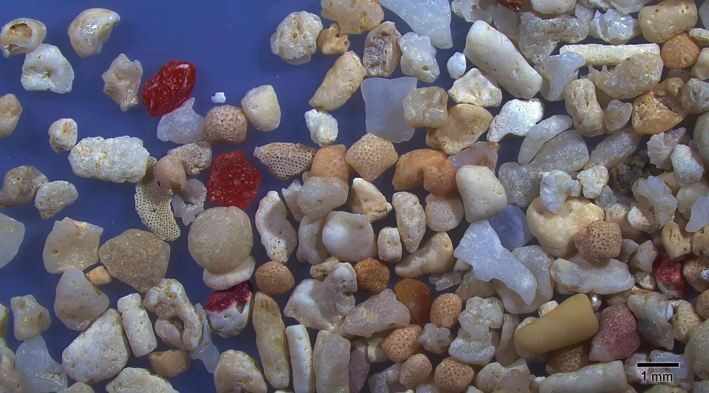 4 Nata Beach Ishigaki Island Japan Sand Grains Magnified Under Microscope 4 Nata Beach Ishigaki Island Japan Sand Grains Magnified Under Microscope