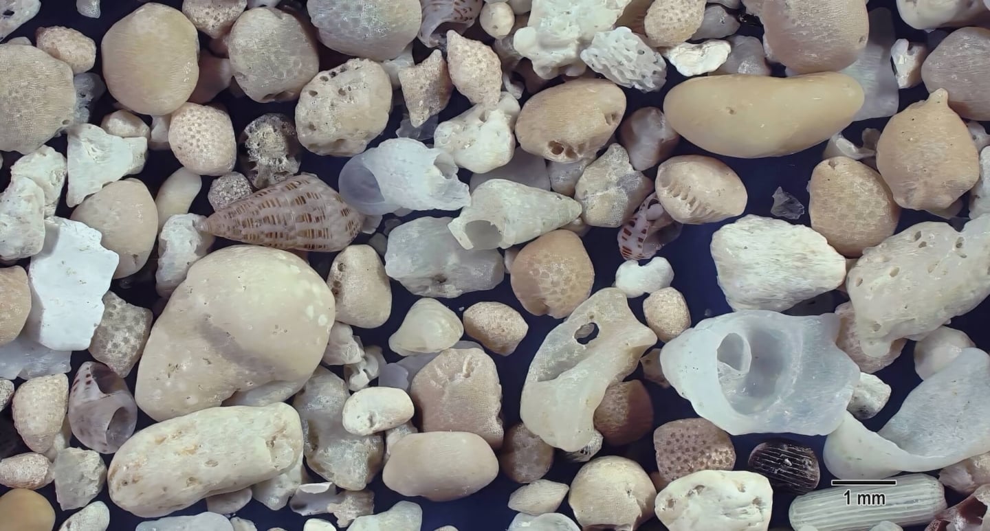 4 Yonehara Beach, Ishigaki Sland, Japan Sand Grains Magnified Under Microscope 4 Yonehara Beach, Ishigaki Sland, Japan Sand Grains Magnified Under Microscope