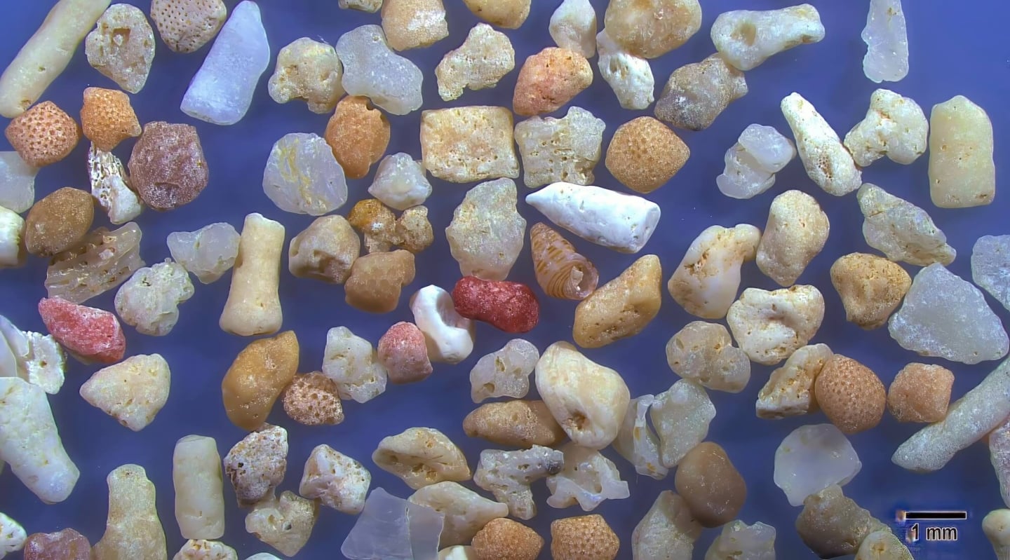 5 Nata Beach Ishigaki Island Japan Sand Grains Magnified Under Microscope 5 Nata Beach Ishigaki Island Japan Sand Grains Magnified Under Microscope