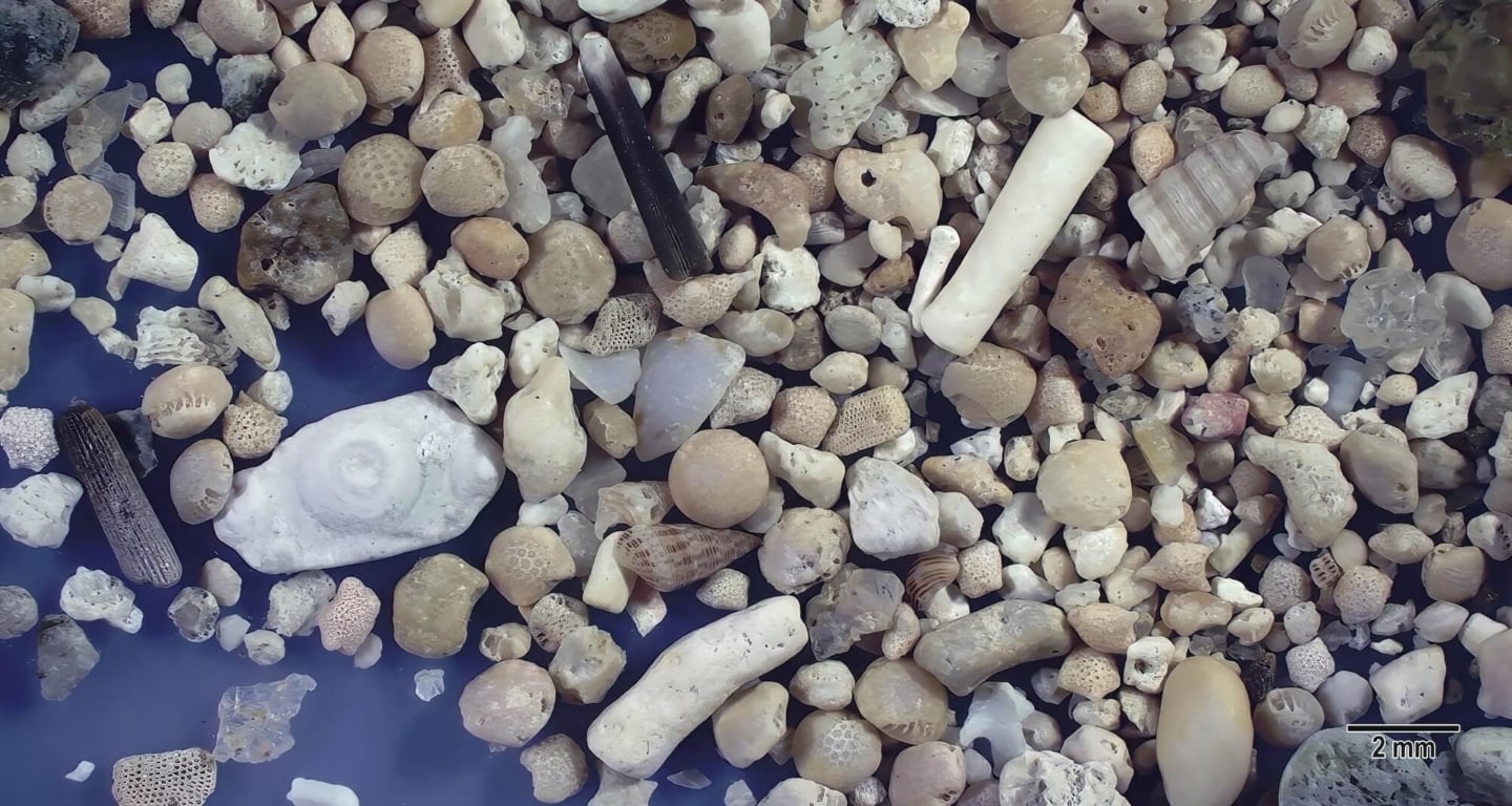 6 Yonehara Beach, Ishigaki Island, Japan Sand Grains Magnified Under Microscope 6 Yonehara Beach, Ishigaki Island, Japan Sand Grains Magnified Under Microscope