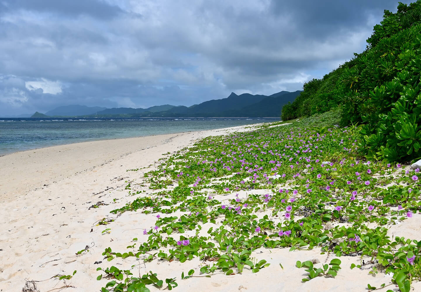 Yonehara Beach Ishigaki Island Japan 1