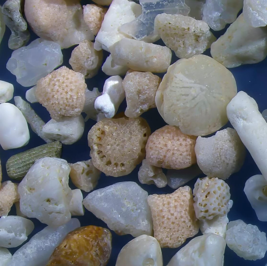 Sq1 Nata Beach Ishigaki Island Japan Sand Grains Magnified Under Microscope