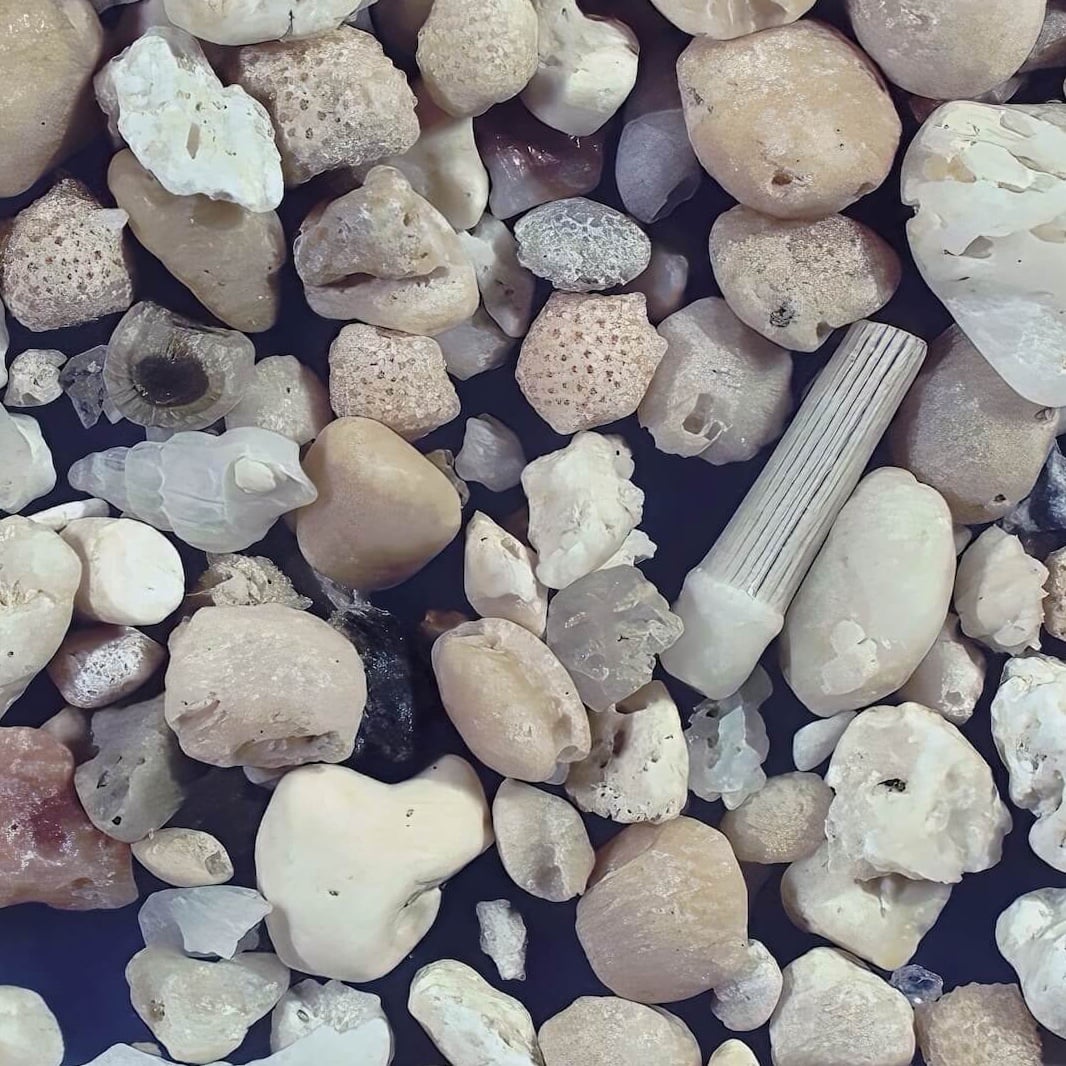 Sq1 Yonehara Beach, Ishigaki Island, Japan Sand Grains Magnified Under Microscope