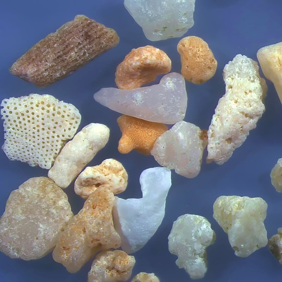 Sq2 Nata Beach Ishigaki Island Japan Sand Grains Magnified Under Microscope