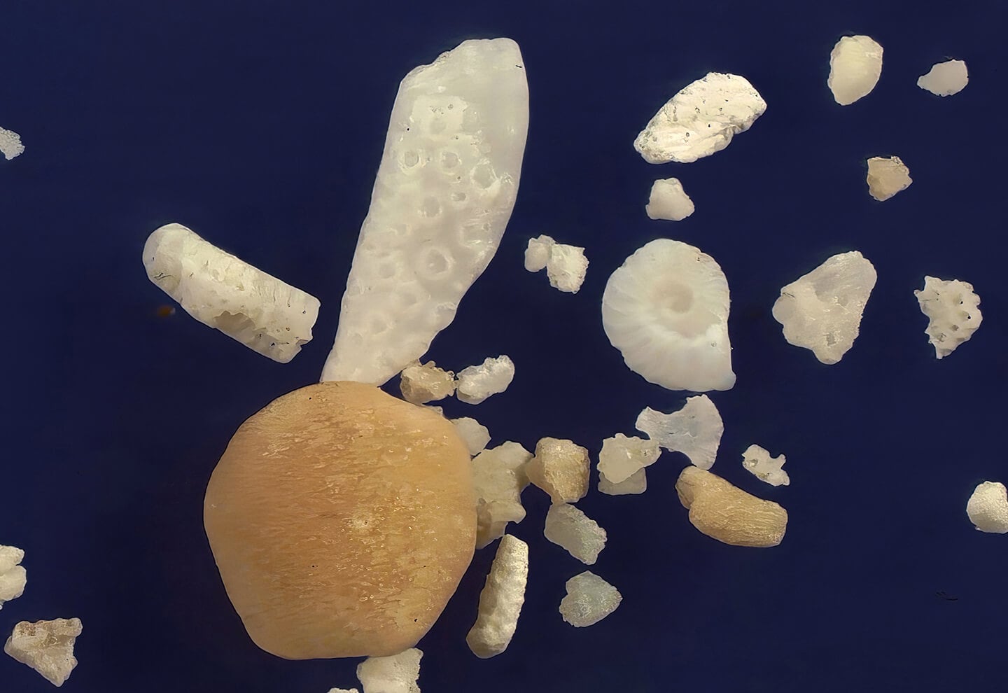 104658 Nishi Beach, Hateruma Island Japan Sand Grains Magnified Under Microscope 104658 Nishi Beach, Hateruma Island Japan Sand Grains Magnified Under Microscope