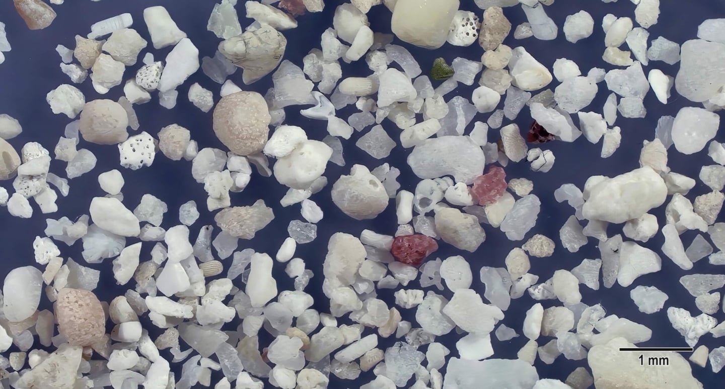 5 Pe Beach, Hateruma Island Japan Sand Grains Magnified Under Microscope 5 Pe Beach, Hateruma Island Japan Sand Grains Magnified Under Microscope