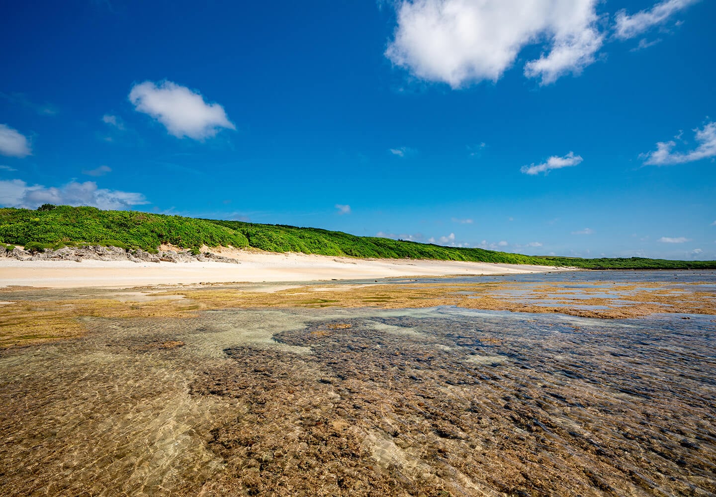 Pe Beach Hateruma Island Japan Sand Geography 3
