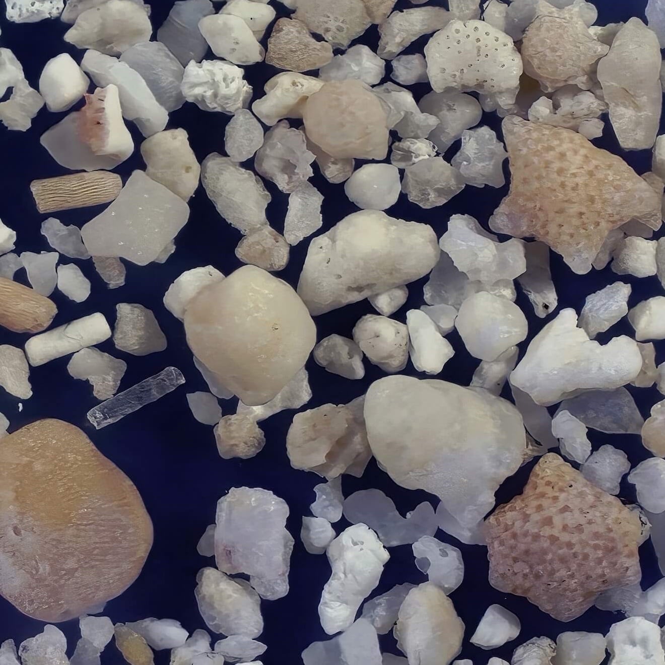 Sq1 Pe Beach, Hateruma Island Japan Sand Grains Magnified Under Microscope