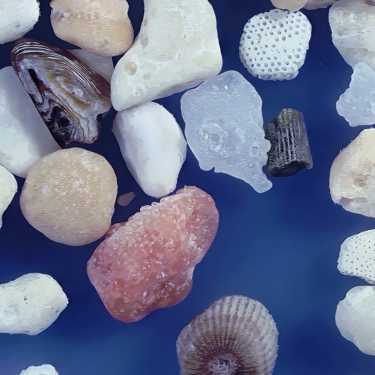 Sq1 Udonosu Beach Yoron Island Kagoshima Japan Sand Grains Magnified Under Microscope
