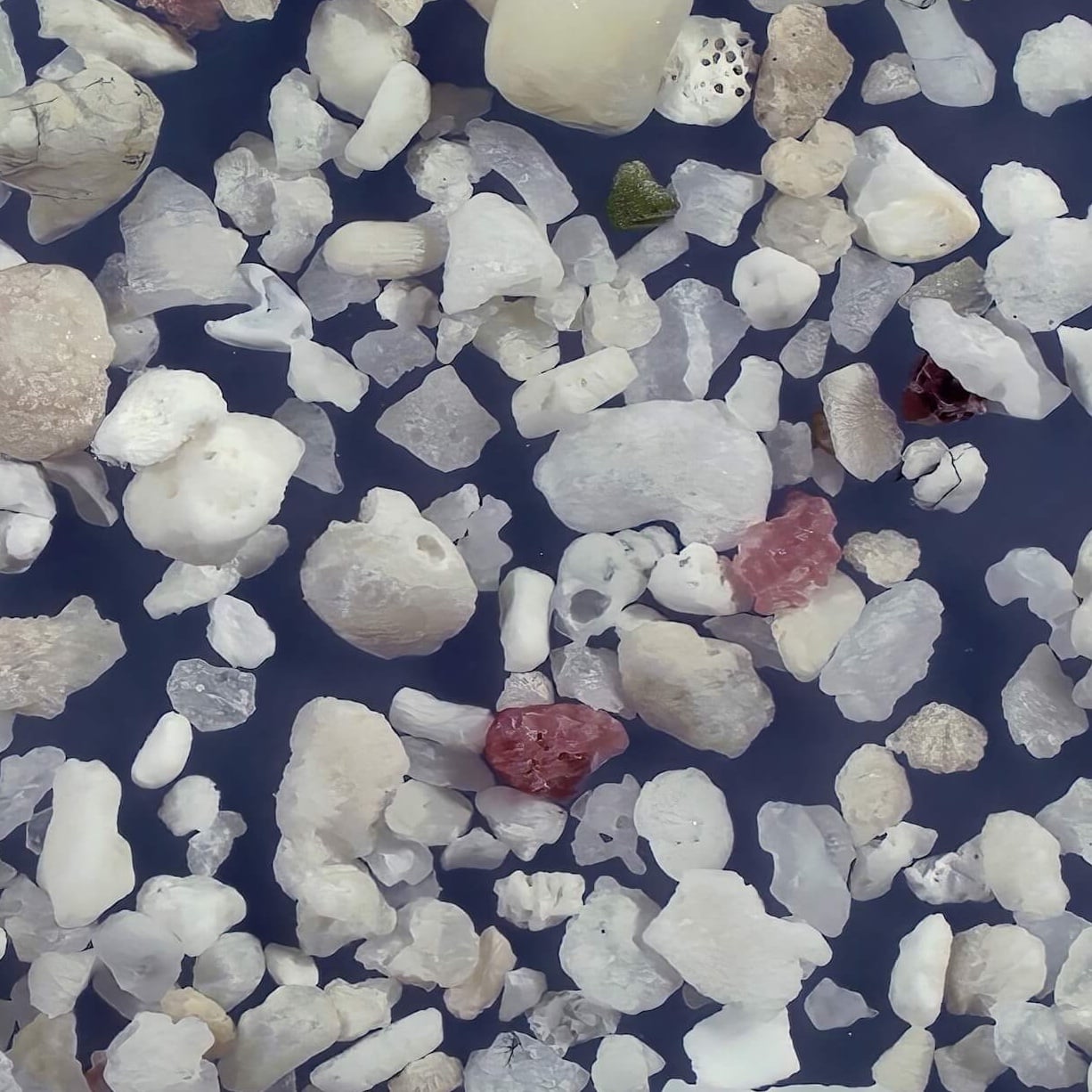 Sq2 Pe Beach, Hateruma Island Japan Sand Grains Magnified Under Microscope