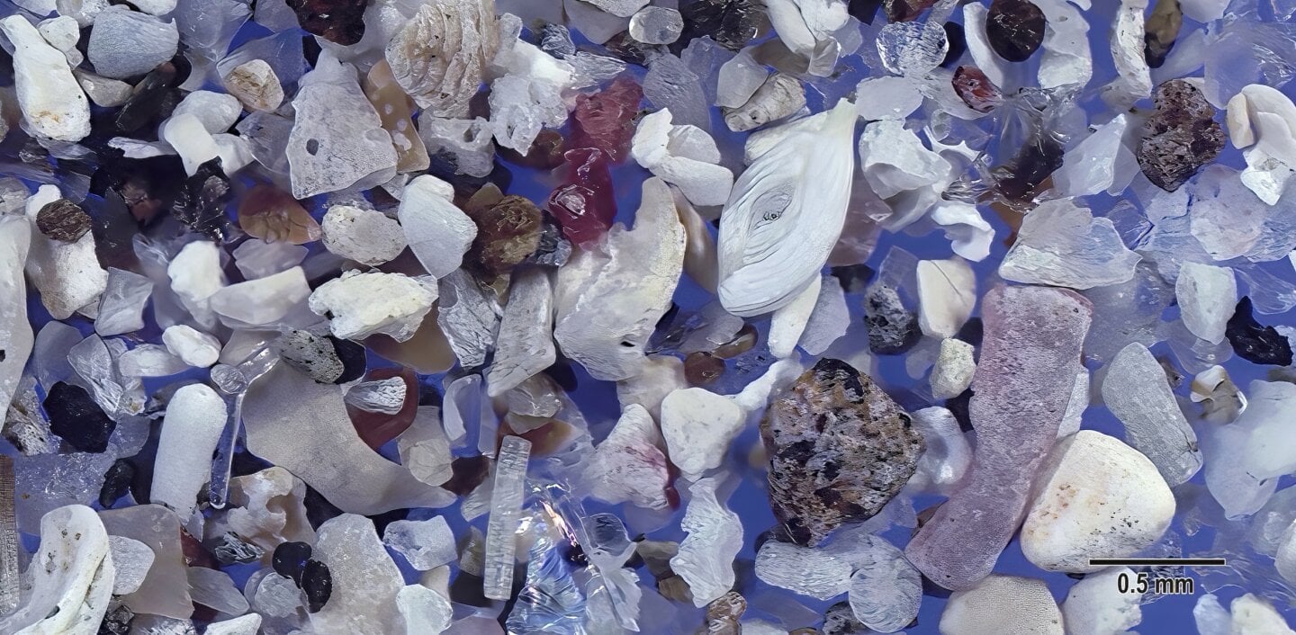 Wakimoto Beach Kagoshima Prefecture Japan Sand Grains Magnified Under Microscope 1 Wakimoto Beach Kagoshima Prefecture Japan Sand Grains Magnified Under Microscope 1